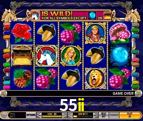 Promoção Relâmpago 55ii